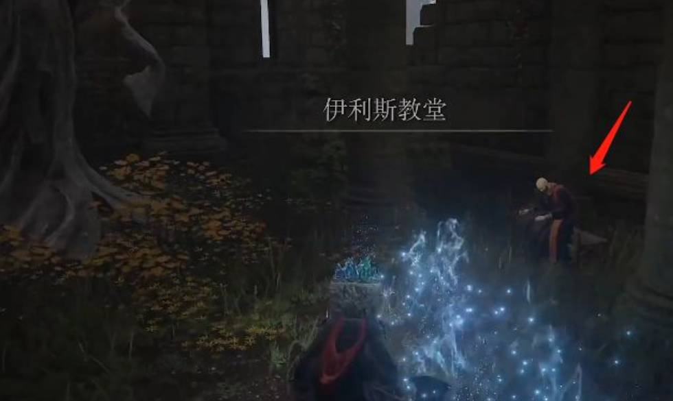 艾尔登法环睿智动作怎么获得?艾尔登法环睿智动作获得攻略