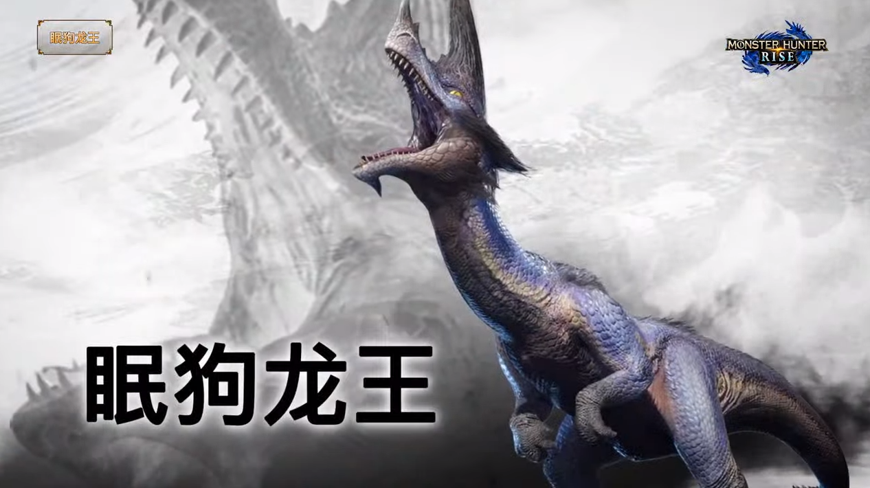 怪物猎人崛起新怪物有哪些 怪物猎人崛起怎么操龙