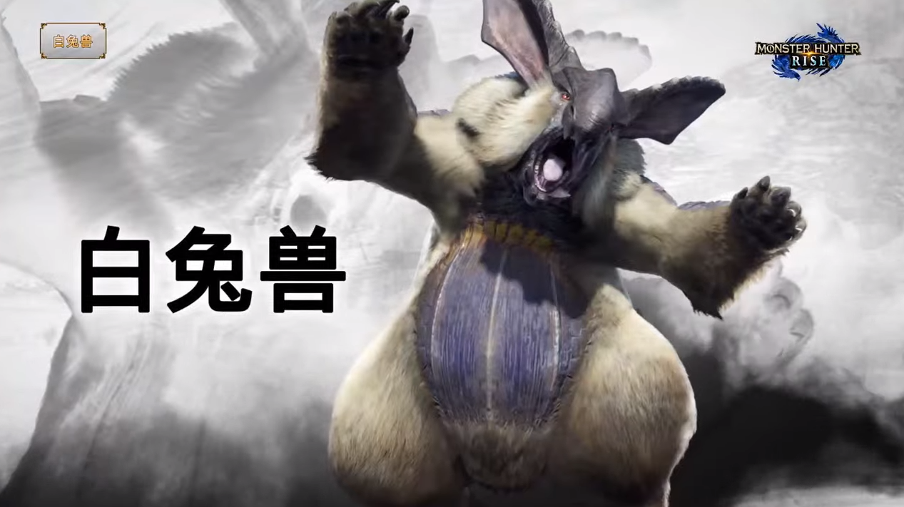 怪物猎人崛起新怪物有哪些 怪物猎人崛起怎么操龙