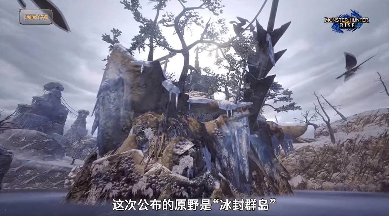 怪物猎人崛起新怪物有哪些 怪物猎人崛起怎么操龙