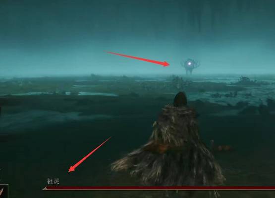 艾尔登法环祖灵森林在哪儿?艾尔登法环祖灵森林位置介绍