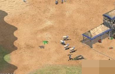 帝国时代2开局怎么快速发展?帝国时代2开局快速发展攻略