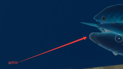 木筏求生如何驯服鲨鱼？木筏求生驯服鲨鱼的详细攻略