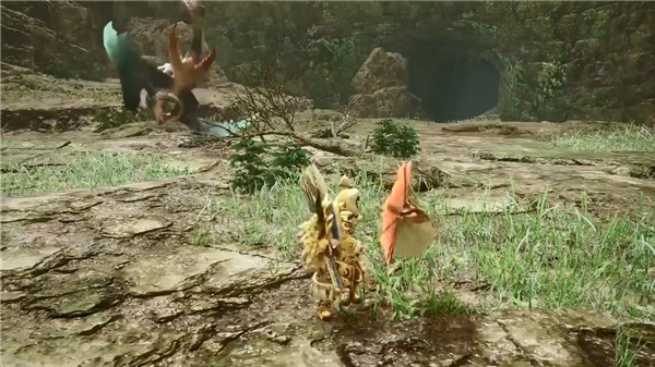 怪物猎人崛起桧扇蛙有什么特点 怪物猎人崛起特殊生物桧扇蛙介绍