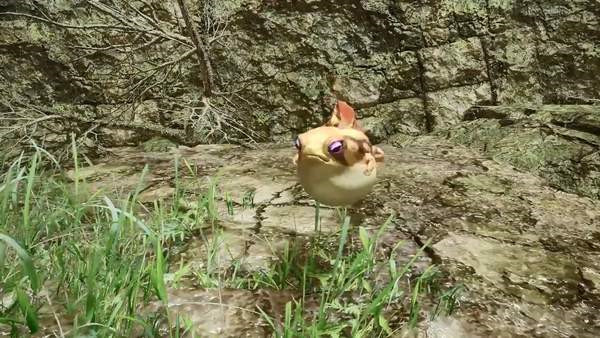 说说怪物猎人崛起桧扇蛙有什么特点。 