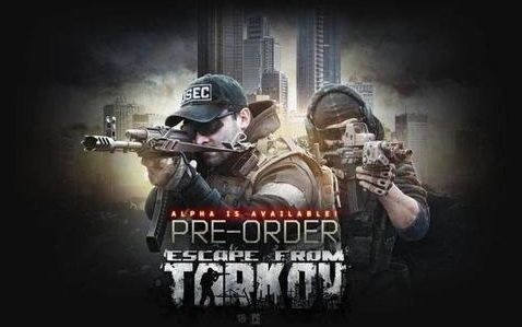 关于逃离塔科夫界面怎么设置。 