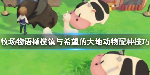 小编教你牧场物语橄榄镇与希望的大地动物怎么配种。 