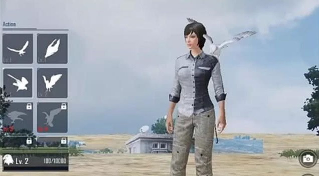 在《绝地求生刺激战场》中获得全部伙伴的具体方法