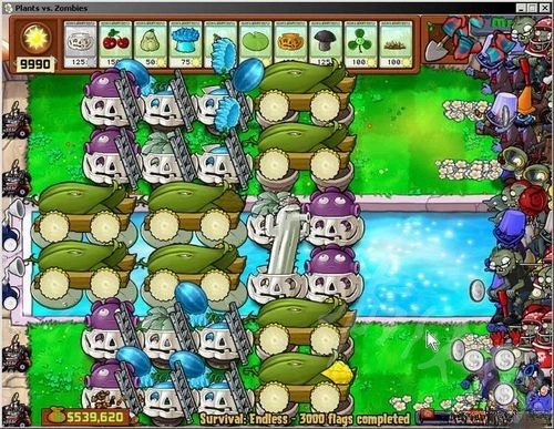 植物大战僵尸电脑版梯子南瓜要注意什么?植物大战僵尸梯子南瓜注意事项介绍