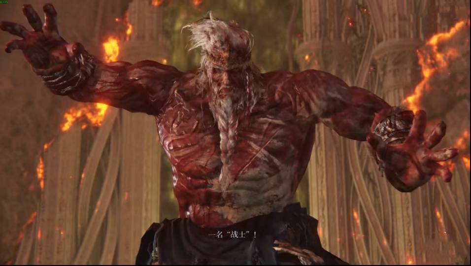 艾尔登法环荷莱露在哪里?艾尔登法环荷莱露位置介绍