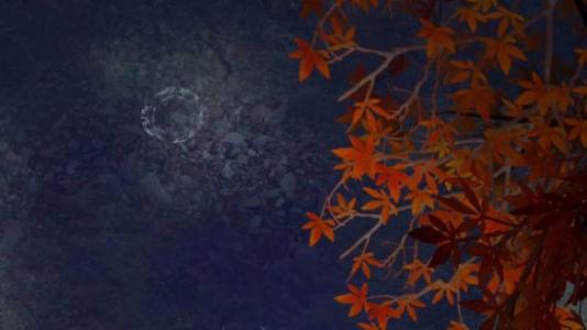 楚留香手游重阳节活动奖励获取分享