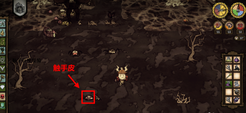 饥荒如何制作雨衣？饥荒制作雨衣的详细攻略