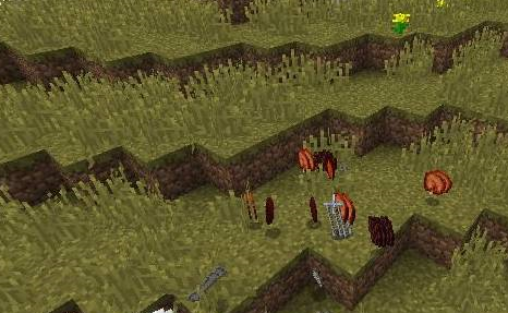 我的世界冰与火之歌怎么驯龙？我的世界冰与火之歌驯龙的详细攻略