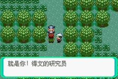 《口袋妖怪雪之白4.0》一周目详解