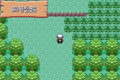 《口袋妖怪雪之白4.0》一周目详解