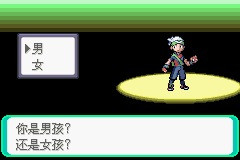 《口袋妖怪雪之白4.0》一周目详解