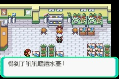 《口袋妖怪雪之白4.0》一周目详解