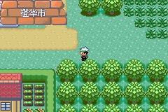 《口袋妖怪雪之白4.0》一周目详解