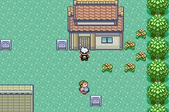 《口袋妖怪雪之白4.0》一周目详解