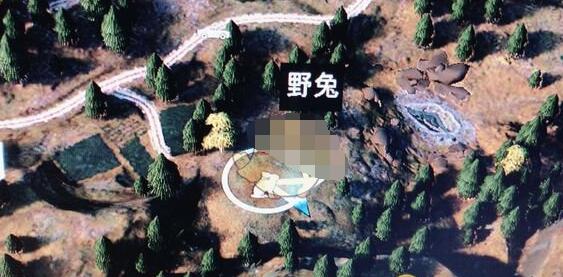 《孤岛惊魂5》野兔狩猎地点一览