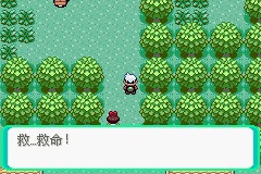 《口袋妖怪雪之白4.0》一周目详解