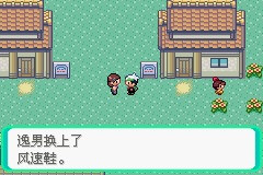 《口袋妖怪雪之白4.0》一周目详解