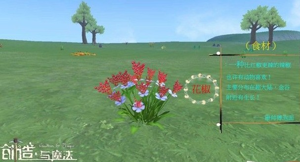 创造与魔法花椒特征与分布位置分享