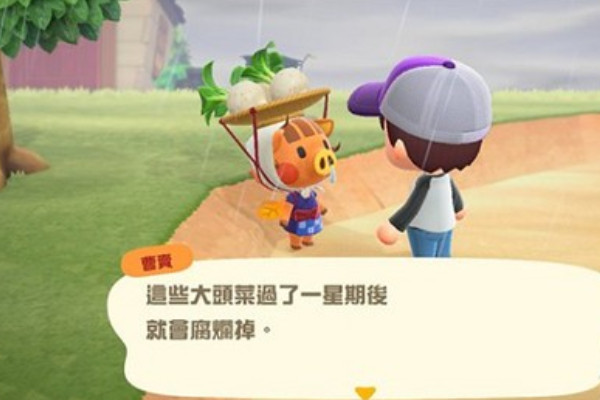 动物之森曹卖位置说明