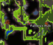 泰拉瑞亚世纪之花攻略 泰拉瑞亚世纪之花打法及掉落物一览