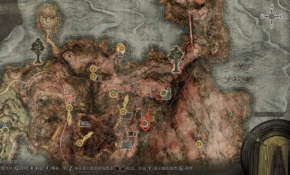 艾尔登法环圣杯滴露分布在哪里？艾尔登法环圣杯滴露位置介绍