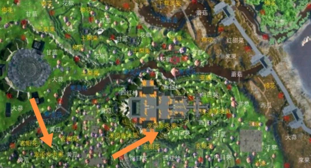 太荒初境龙须赤炎果在哪里?太荒初境龙须赤炎果位置介绍