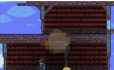 泰拉瑞亚简单好看的房子怎么造 泰拉瑞亚入门级小屋搭建方法