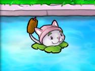 植物大战僵尸猫尾草有什么用?植​物大战僵尸猫尾草作用介绍