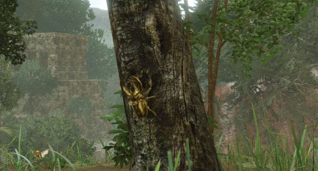 怪物猎人崛起神圣独角仙在哪？怪物猎人崛起神圣独角仙位置介绍