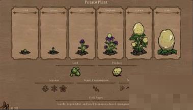 饥荒勿忘我植物有什么用?饥荒勿忘我植物作用介绍