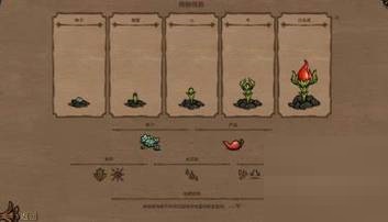 饥荒勿忘我植物有什么用?饥荒勿忘我植物作用介绍