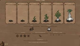 饥荒勿忘我植物有什么用?饥荒勿忘我植物作用介绍