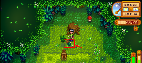 星露谷物语怎样获得蕨菜？星露谷物语获得蕨菜的详细攻略