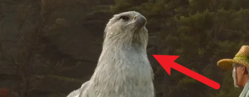 霍格沃茨之遗怎么获得坐骑？霍格沃茨之遗获得坐骑攻略