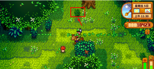 星露谷物语怎样获得蕨菜？星露谷物语获得蕨菜的详细攻略