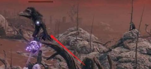 艾尔登法环刷乌鸦在哪里？艾尔登法环找到刷乌鸦的具体操作