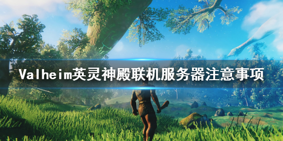 英灵神殿联机服务器要注意什么 英灵神殿联机服务器注意事项