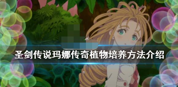 圣剑传说玛娜传奇植物怎么培养？圣剑传说玛娜传奇植物培养方法