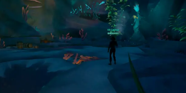 盗贼之海加勒比海盗第二章攻略 盗贼之海加勒比海盗第二章沉没的珍珠号怎么过