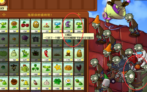 植物大战僵尸5-9怎么玩？植物大战僵尸5-9攻略