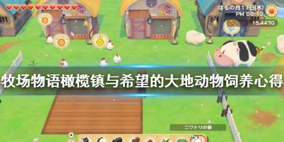 小编分享牧场物语橄榄镇与希望的大地动物饲养要注意什么。 