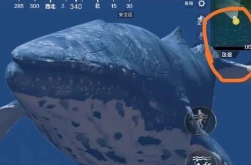 刺激战场热带雨林找网红鲲分享