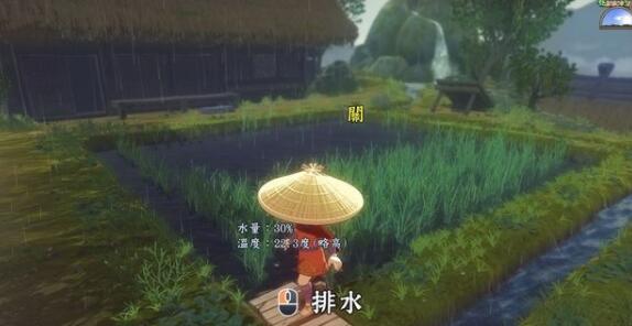 天穗之咲稻姬水位怎么合理控制  天穗之咲稻姬田地水位要点分享