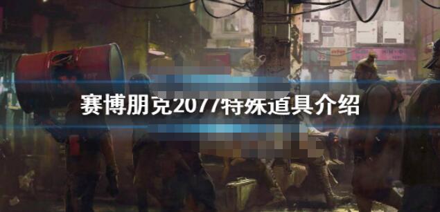 赛博朋克2077特殊道具一览 赛博朋克2077特殊道具有哪些