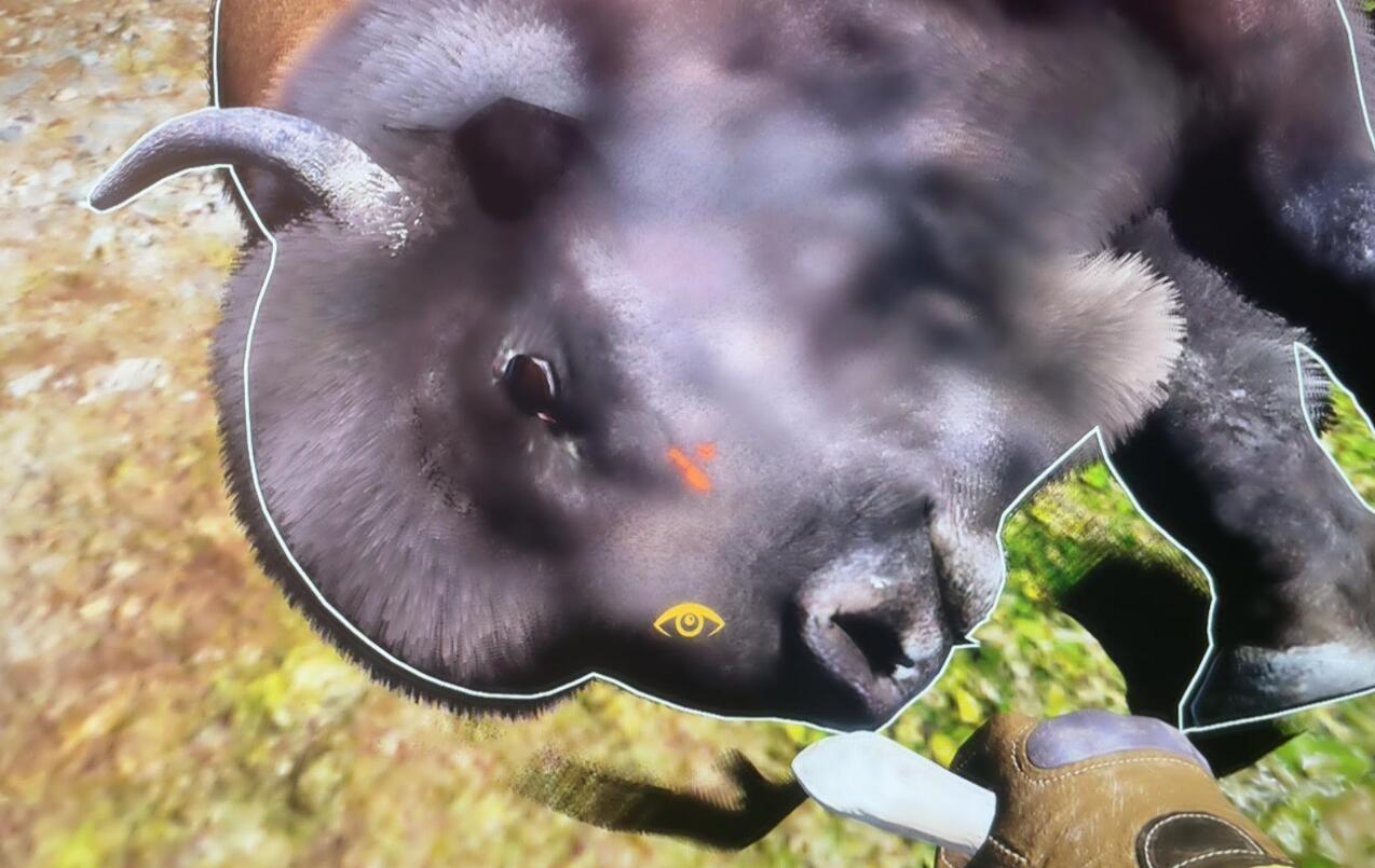 翼星求生水牛如何剥皮？翼星求生水牛剥皮方法介绍